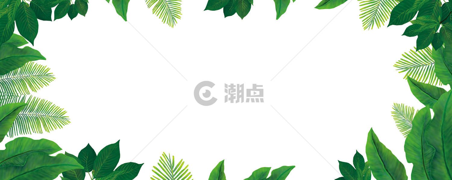 热带植物 植被 绿植 绿叶元素图片素材免费下载