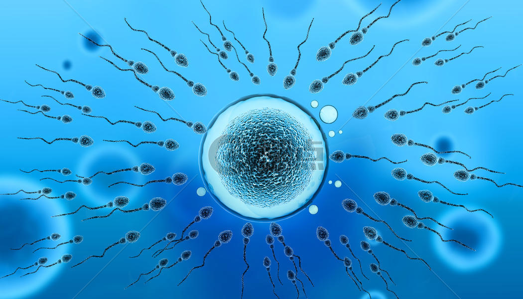 精子卵子相遇图图片素材免费下载