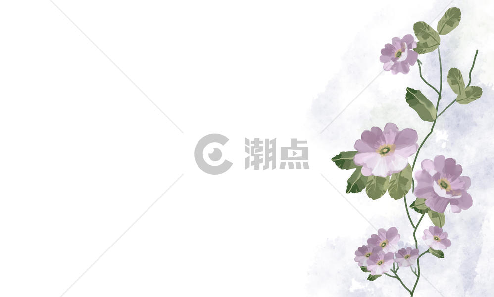 紫色花图片素材免费下载