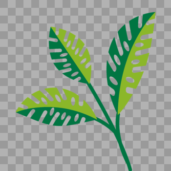 植物叶子图片素材免费下载