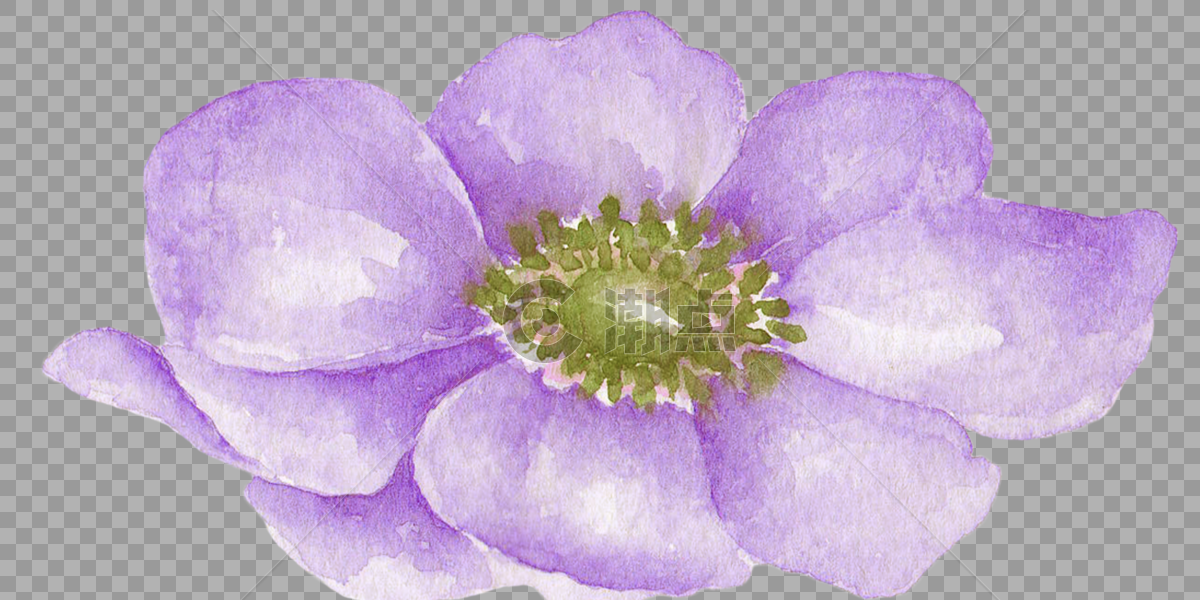 水彩花朵图片素材免费下载