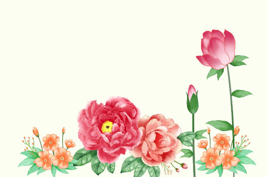 牡丹花卉插画图片素材免费下载