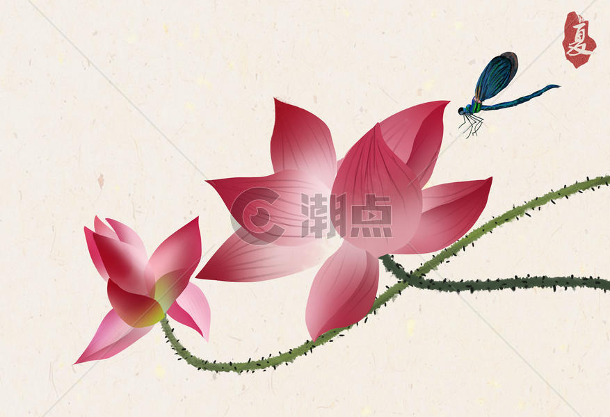 中国风水墨荷花图片素材免费下载