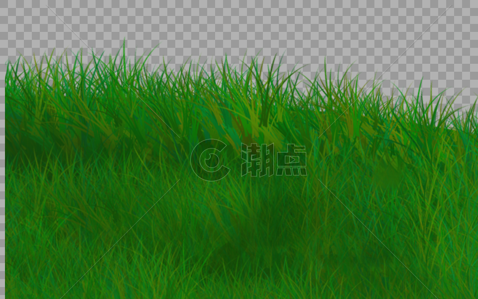 绿色草丛图片素材免费下载