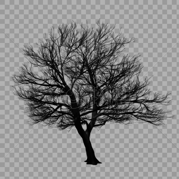 树干图片素材免费下载