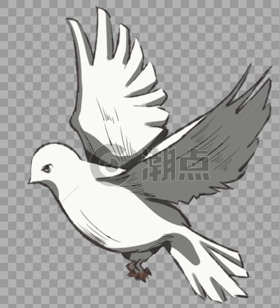 飞舞的白鸽图片素材免费下载