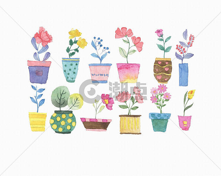 水彩植物花卉盆景图片素材免费下载