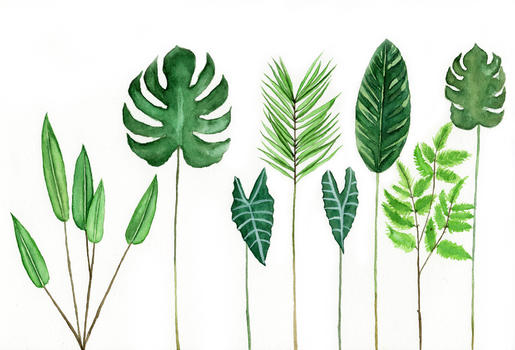 水彩手绘植物叶子图片素材免费下载