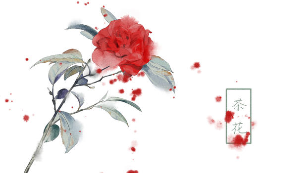 中国风手绘茶花插画图片素材免费下载
