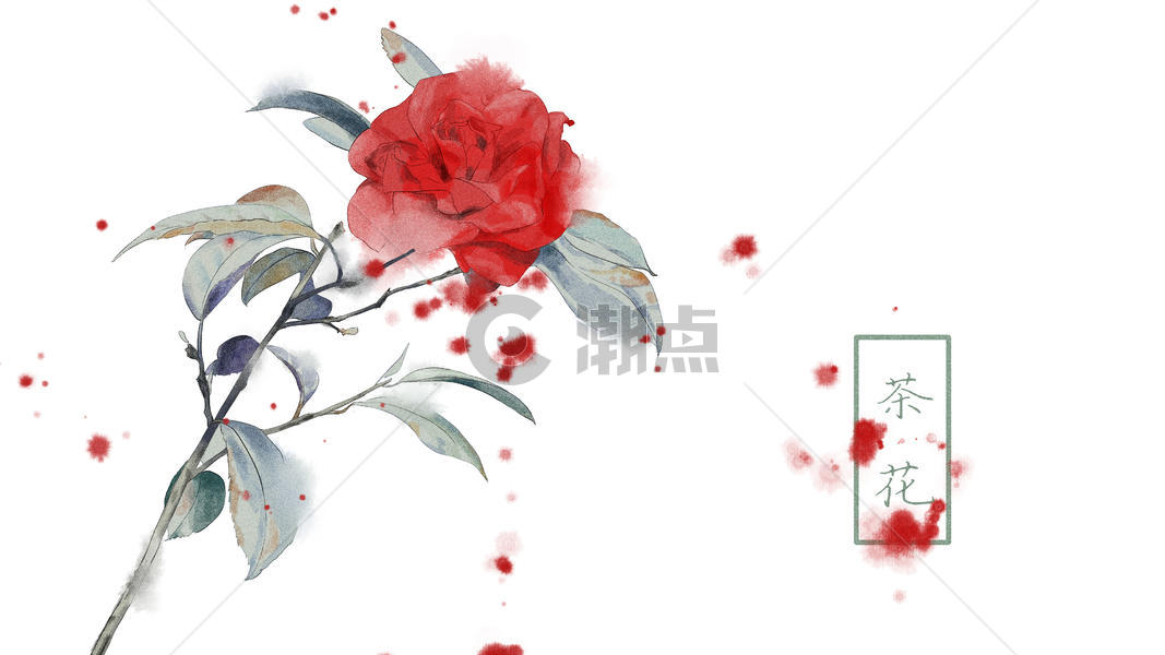 中国风手绘茶花插画图片素材免费下载