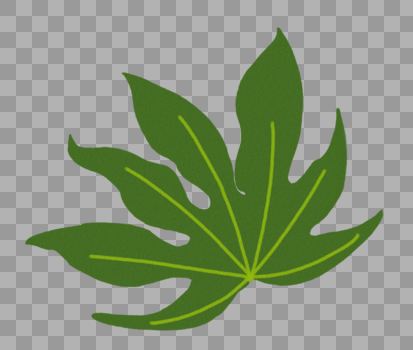 植物叶子图片素材免费下载