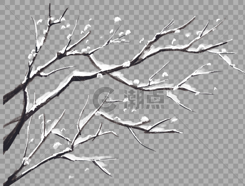 落雪的树枝图片素材免费下载