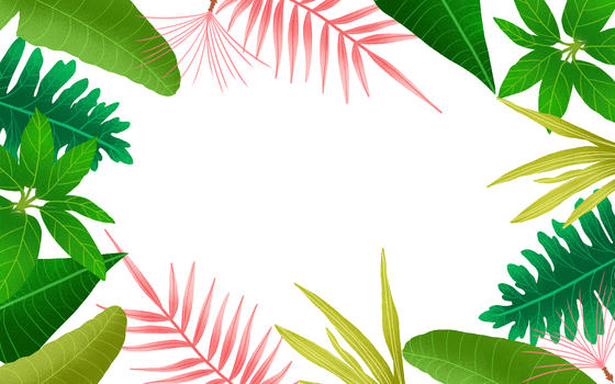 夏季热带植物背景图片素材免费下载