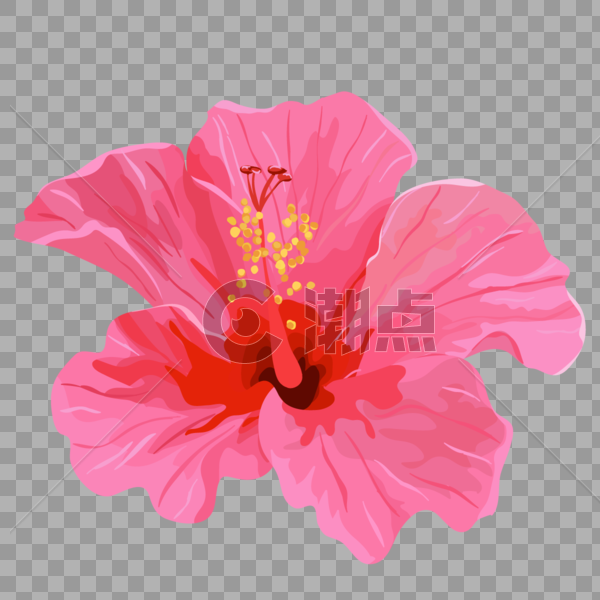 一朵粉色的花图片素材免费下载