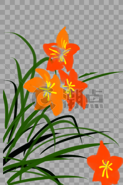 橘色的花丛图片素材免费下载