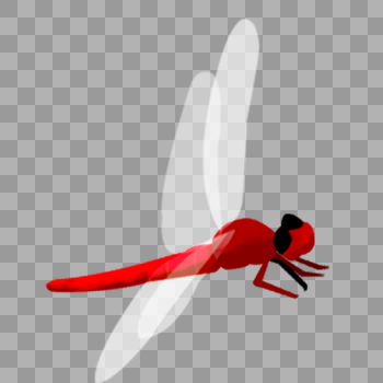红色蜻蜓图片素材免费下载