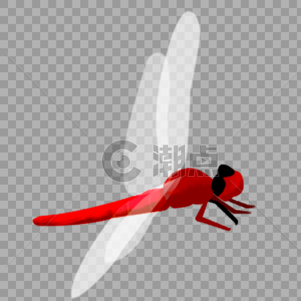 红色蜻蜓图片素材免费下载