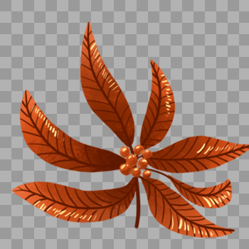 植物红色的叶子图片素材免费下载