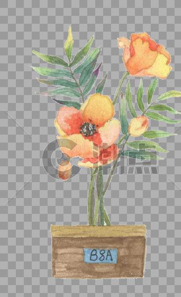 盆景  手绘花卉图片素材免费下载