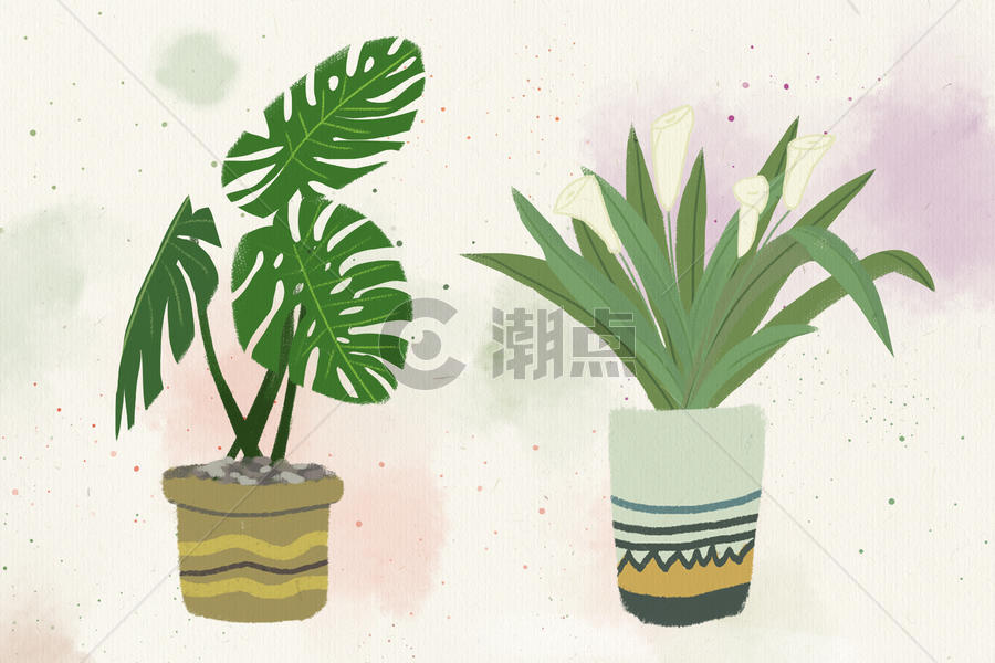 北欧风格手绘植物插画图片素材免费下载