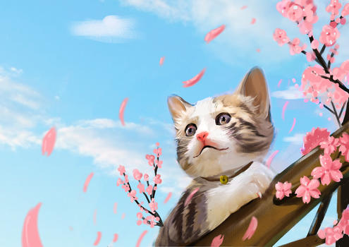 猫和樱花图片素材免费下载