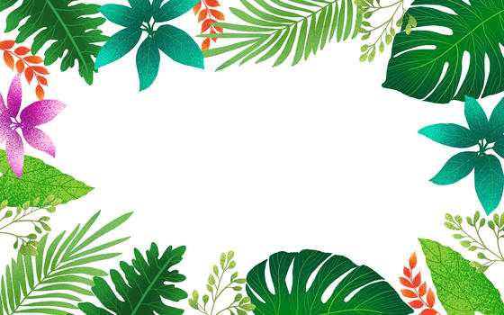 夏季热带植物背景图片素材免费下载