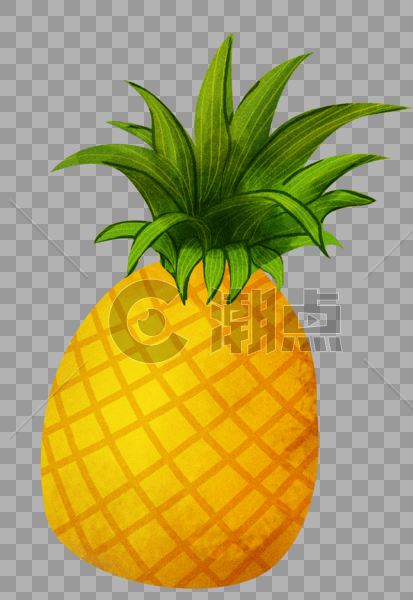 热带水果菠萝图片素材免费下载