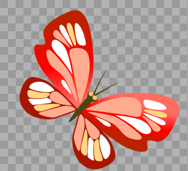 红蝴蝶图片素材免费下载