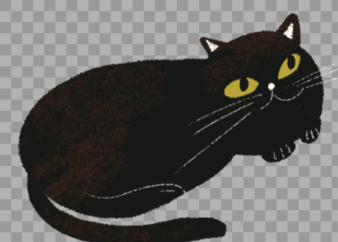 黑猫图片素材免费下载