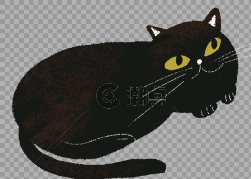 黑猫图片素材免费下载
