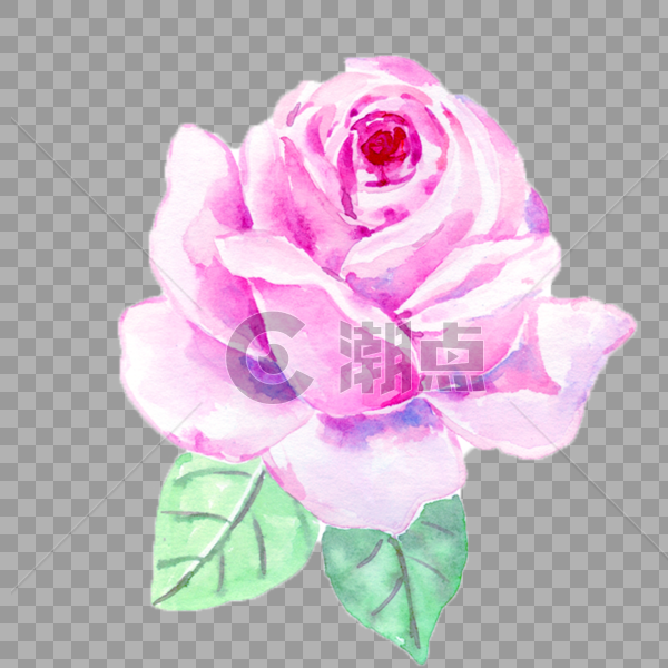 玫瑰鲜花图片素材免费下载