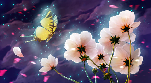 夜空下在花丛飞舞的蝴蝶图片素材免费下载