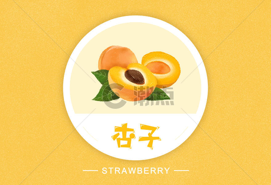 杏子水果插画图片素材免费下载
