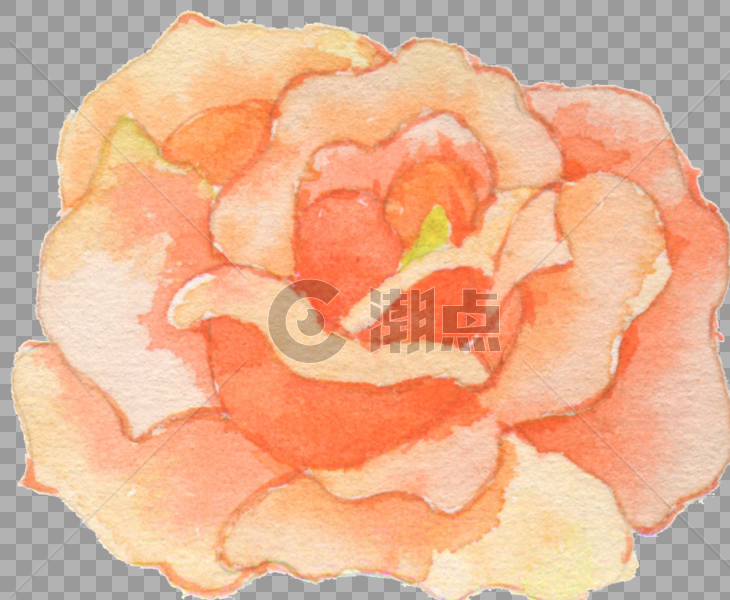 花卉 水彩花朵图片素材免费下载