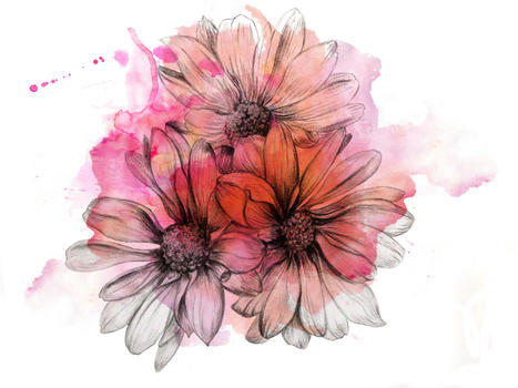 传统手绘水彩花图片素材免费下载