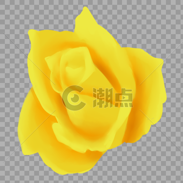 黄色的玫瑰花图片素材免费下载