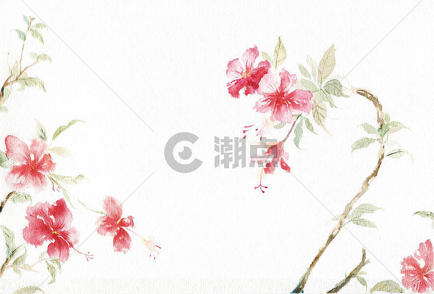 水彩花卉图片素材免费下载