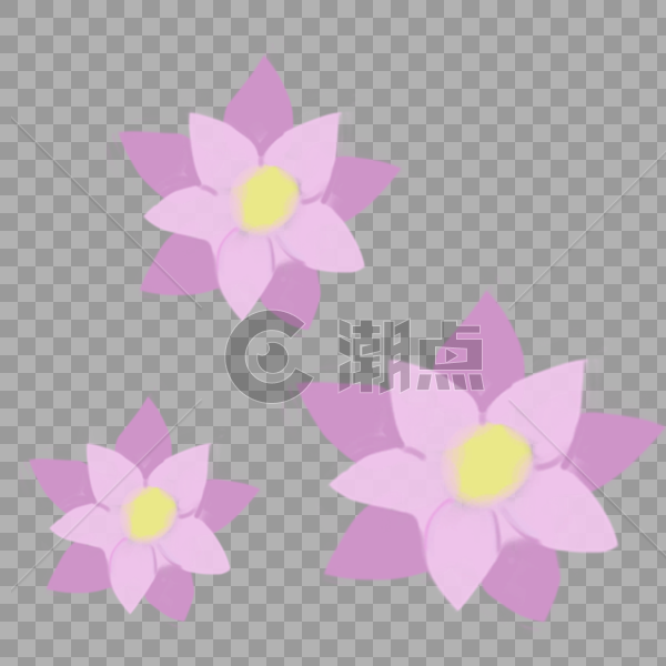 粉色的花朵图片素材免费下载