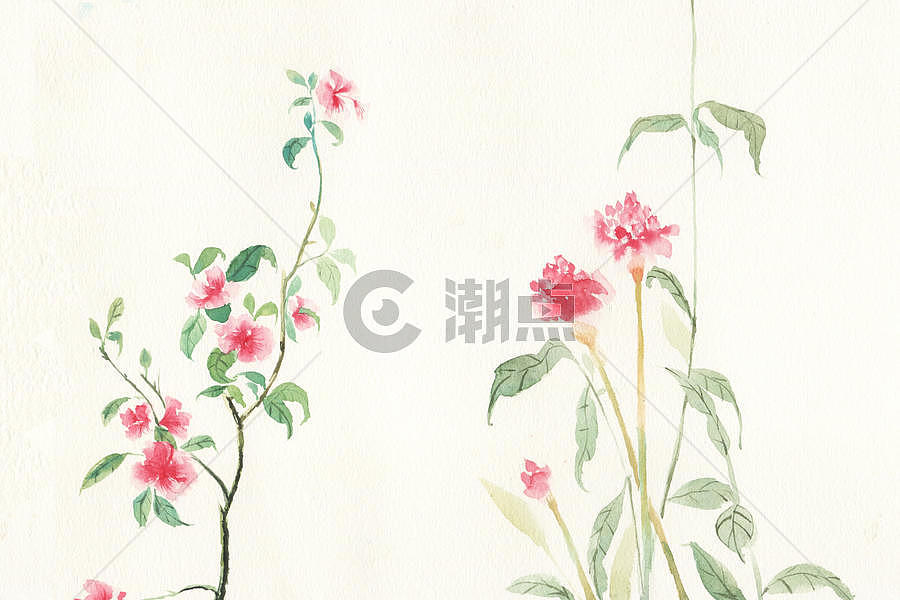 手绘花卉图片素材免费下载
