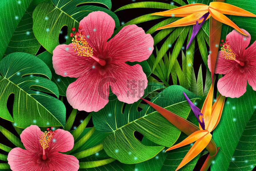 热带植物图片素材免费下载