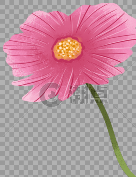 粉色花卉图片素材免费下载