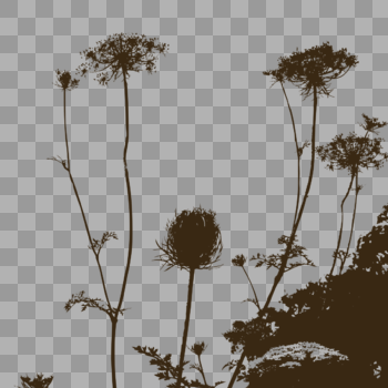 植物花卉剪影图片素材免费下载
