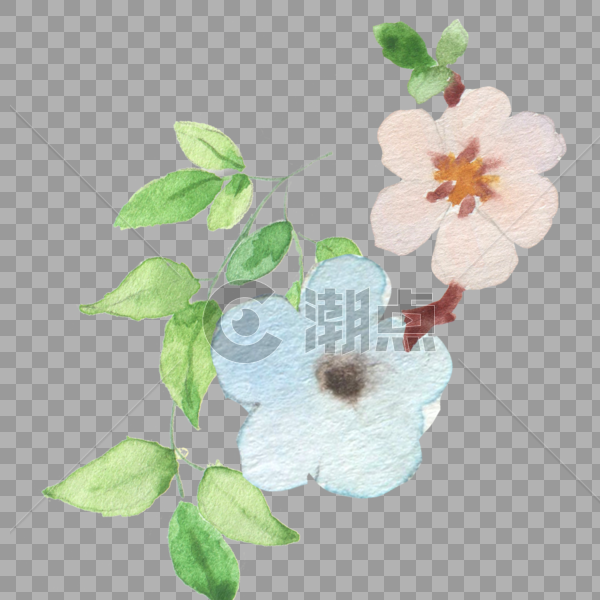手绘植物花卉图片素材免费下载