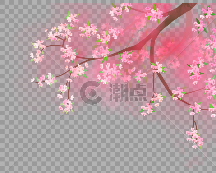 粉色的桃花图片素材免费下载
