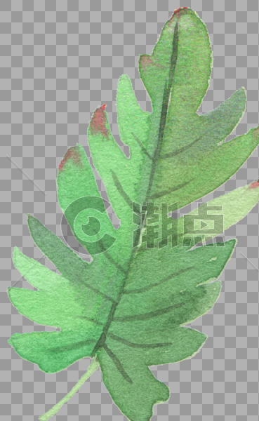 水彩手绘植物素材图片素材免费下载