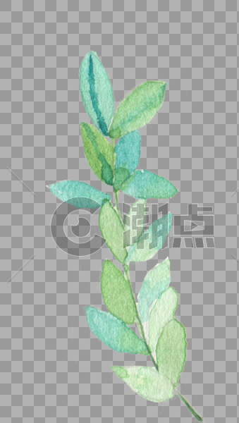 水彩手绘植物素材图片素材免费下载