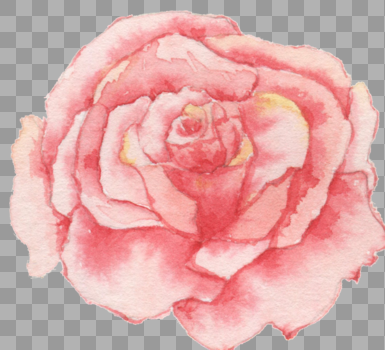 水彩玫瑰花图片素材免费下载