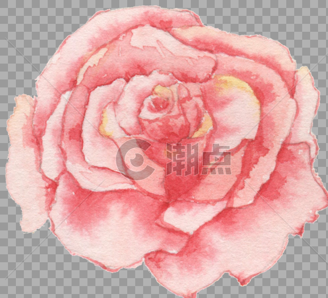 水彩玫瑰花图片素材免费下载