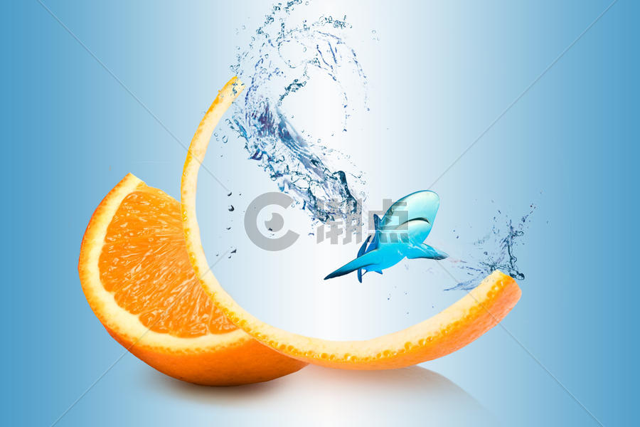 创意橙子与鲨鱼图片素材免费下载