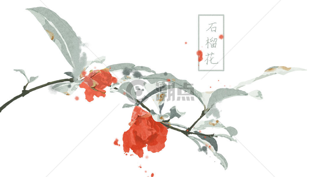 中国风手绘石榴花插画图片素材免费下载